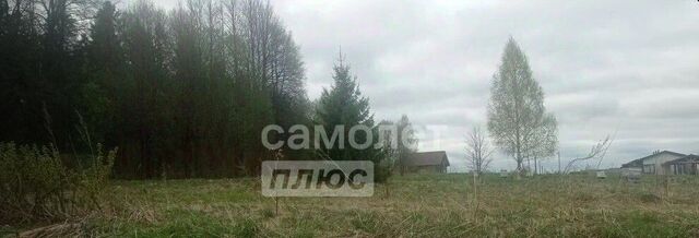 Закрышкино садовое товарищество фото Закрышкино садовое товарищество фото