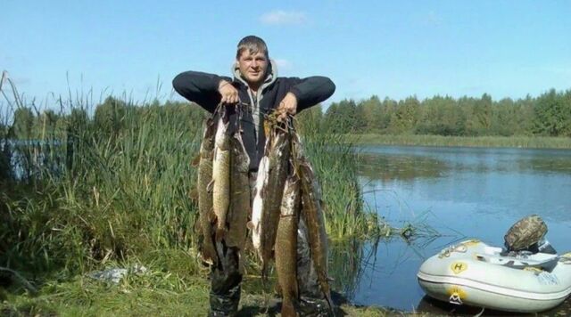 д Вышегород ул Юрьевская 4 фото