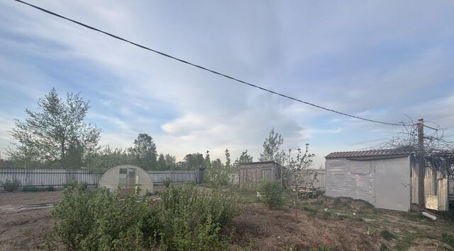 земля снт Отрадное Нетьинское с/пос, СДТ, 120/49 фото