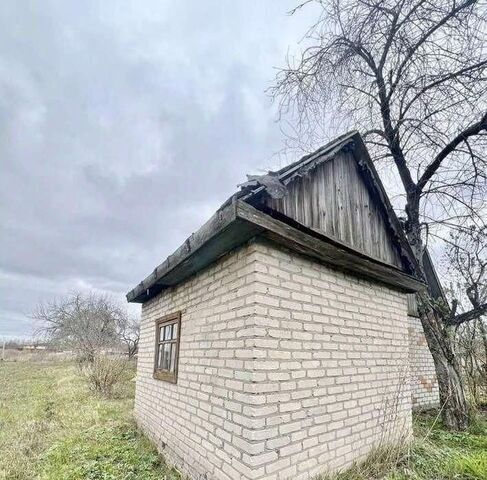 п Мичуринский ул Андрюшина фото п Мичуринский ул Андрюшина фото