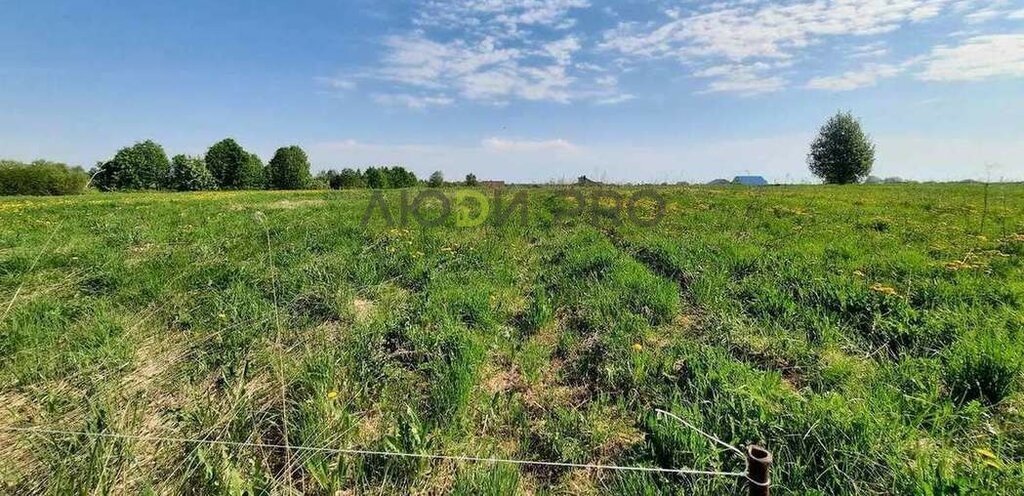 земля р-н Вологодский деревня Новое Сосновский сельсовет фото 1