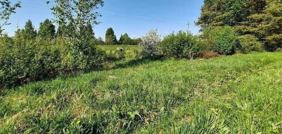 земля р-н Вологодский деревня Новое Сосновский сельсовет фото 2