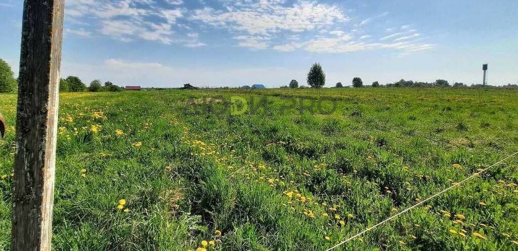 земля р-н Вологодский деревня Новое Сосновский сельсовет фото 3