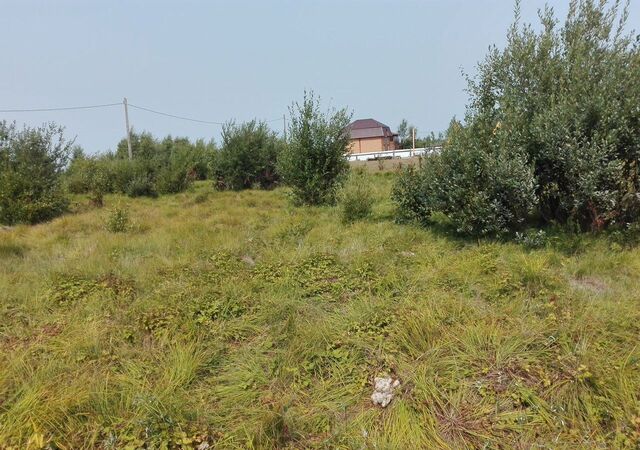 с Сухая Турунтаево фото с Сухая Турунтаево фото