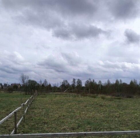 рп Крестцы ул Тенистая фото рп Крестцы ул Тенистая фото