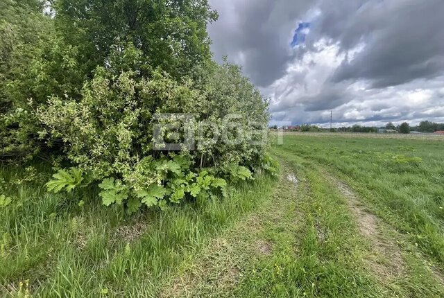 р-н Костромской п Дорожный Никольское сельское поселение фото р-н Костромской п Дорожный Никольское сельское поселение фото