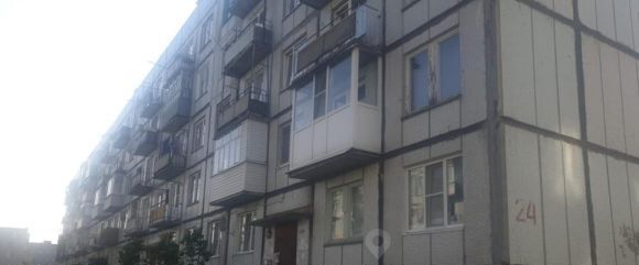 квартира 24 фото
