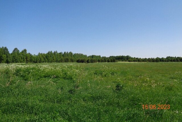 р-н Кичменгско-Городецкий сельское поселение Городецкое фото