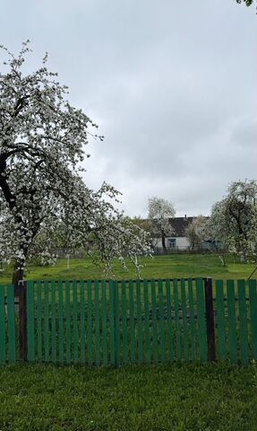 земля п Речица ул Мичурина 24 Речицкое сельское поселение, Почеп фото земля п Речица ул Мичурина 24 Речицкое сельское поселение, Почеп фото