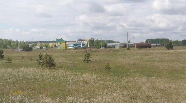 д Шаманаева ул Трактовая Новогромовское муниципальное образование фото д Шаманаева ул Трактовая Новогромовское муниципальное образование фото