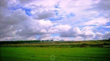 р-н Сосновский д Костыли фото р-н Сосновский д Костыли фото