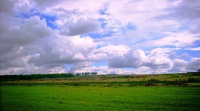 р-н Сосновский д Костыли фото р-н Сосновский д Костыли фото