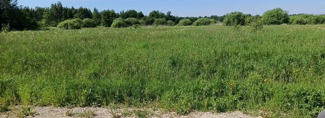 р-н Новгородский рп Панковка Борковское сельское поселение фото р-н Новгородский рп Панковка Борковское сельское поселение фото