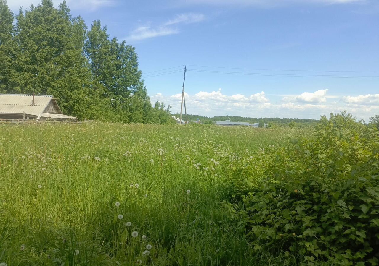 земля р-н Вологодский п Дубровское Вологда фото 3