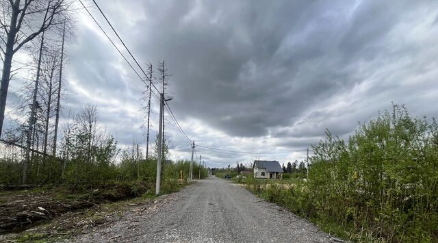 р-н Заягорбский ул Ростовская 21 фото р-н Заягорбский ул Ростовская 21 фото