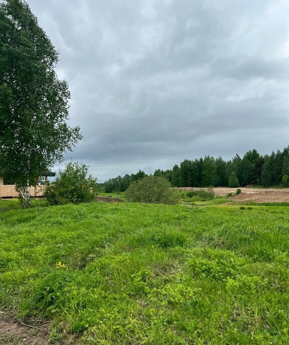 земля р-н Вологодский д Борилово фото 7