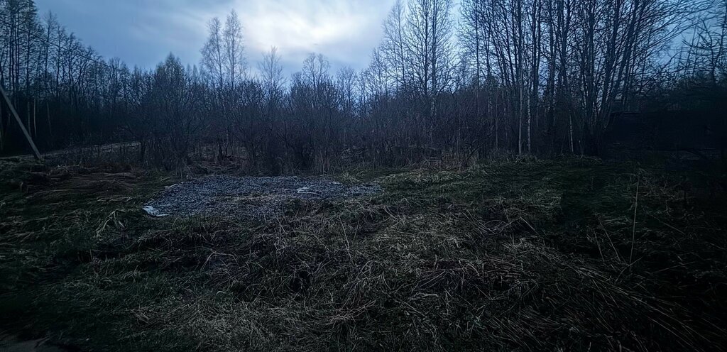 земля р-н Вологодский снт Радужное Эра, Рябиновая аллея, Вологда фото 4
