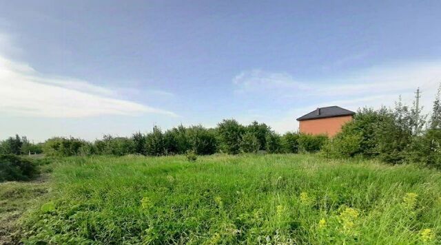 р-н Ярославский с Курба фото р-н Ярославский с Курба фото