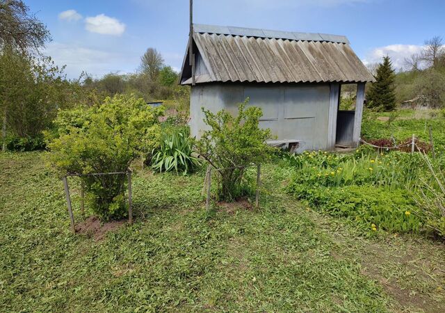 р-н Ржевский коллективный сад НГЧ-16, Ржев фото