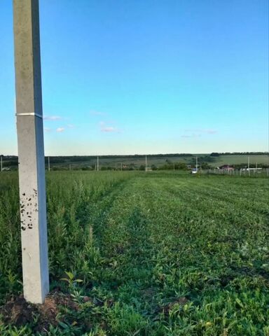 земля г Саранск Николаевка фото