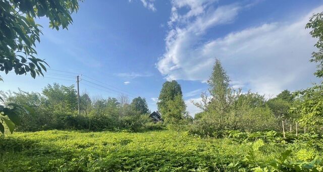 городской округ Волоколамский д Анино 22 фото городской округ Волоколамский д Анино 22 фото
