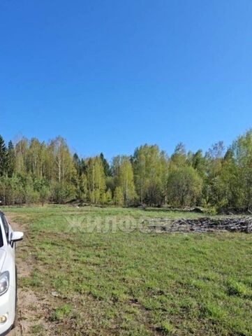 земля с Калтай Калтайское сельское поселение фото земля с Калтай Калтайское сельское поселение фото