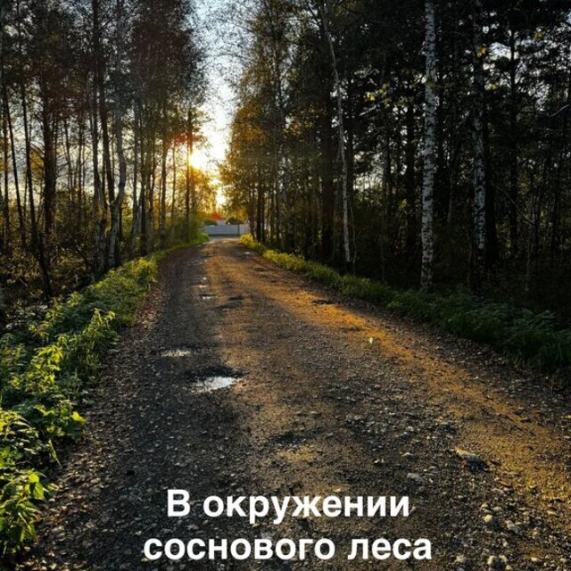 Снять Проститутки Екатеринбург Метро Ботанический Снять Проститутки Екатеринбург Метро Ботанический