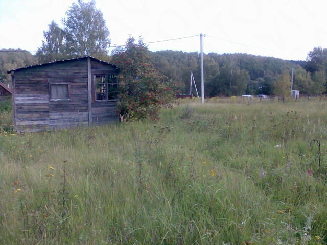 садоводческое товарищество Егнышёвка-2, Калужская область, Таруса, муниципальное образование фото