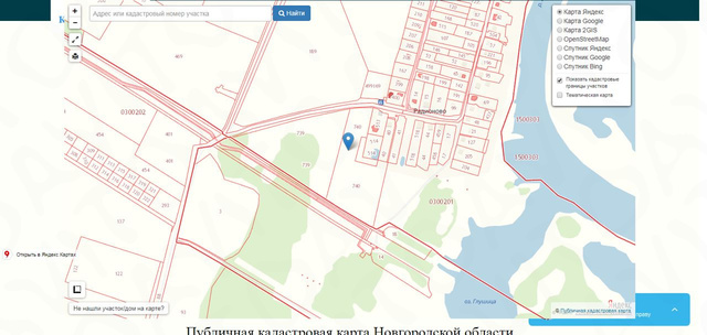 земля Торговая сторона Новгородский р-н фото