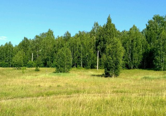 д Желыбино ул Раздольная фото