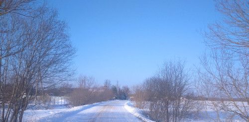 р-н Новгородский д Лентьево Борковское с пос фото