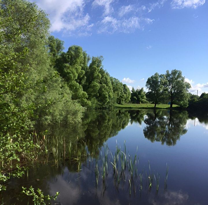 земля р-н Навлинский с Журавка ул Центральная фото 2