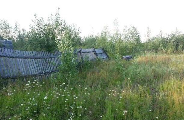 земля г Нижневартовск садово огородное товарищество Огородник -3, Тюменская обл. фото 6