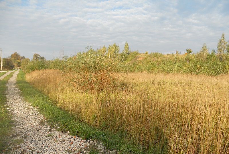 земля городской округ Ступино д Бекетово Михнево фото 6