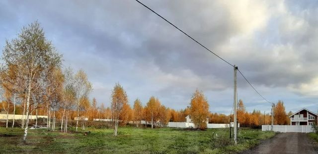 городской округ Мытищи с Марфино фото