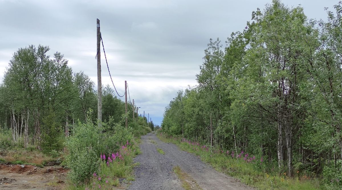 земля р-н Кольский г Кола городское поселение, Свой Дом СНП фото 6