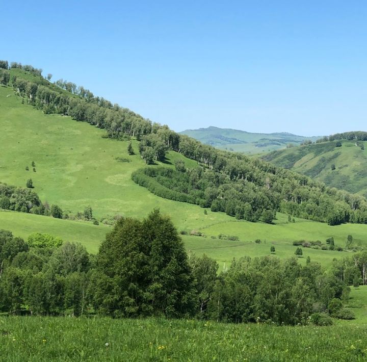 свободного назначения г Белокуриха ул Алтайская 80 фото 9