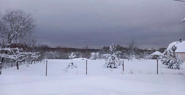 земля р-н Новгородский д Лентьево Борковское сельское поселение, Панковка фото
