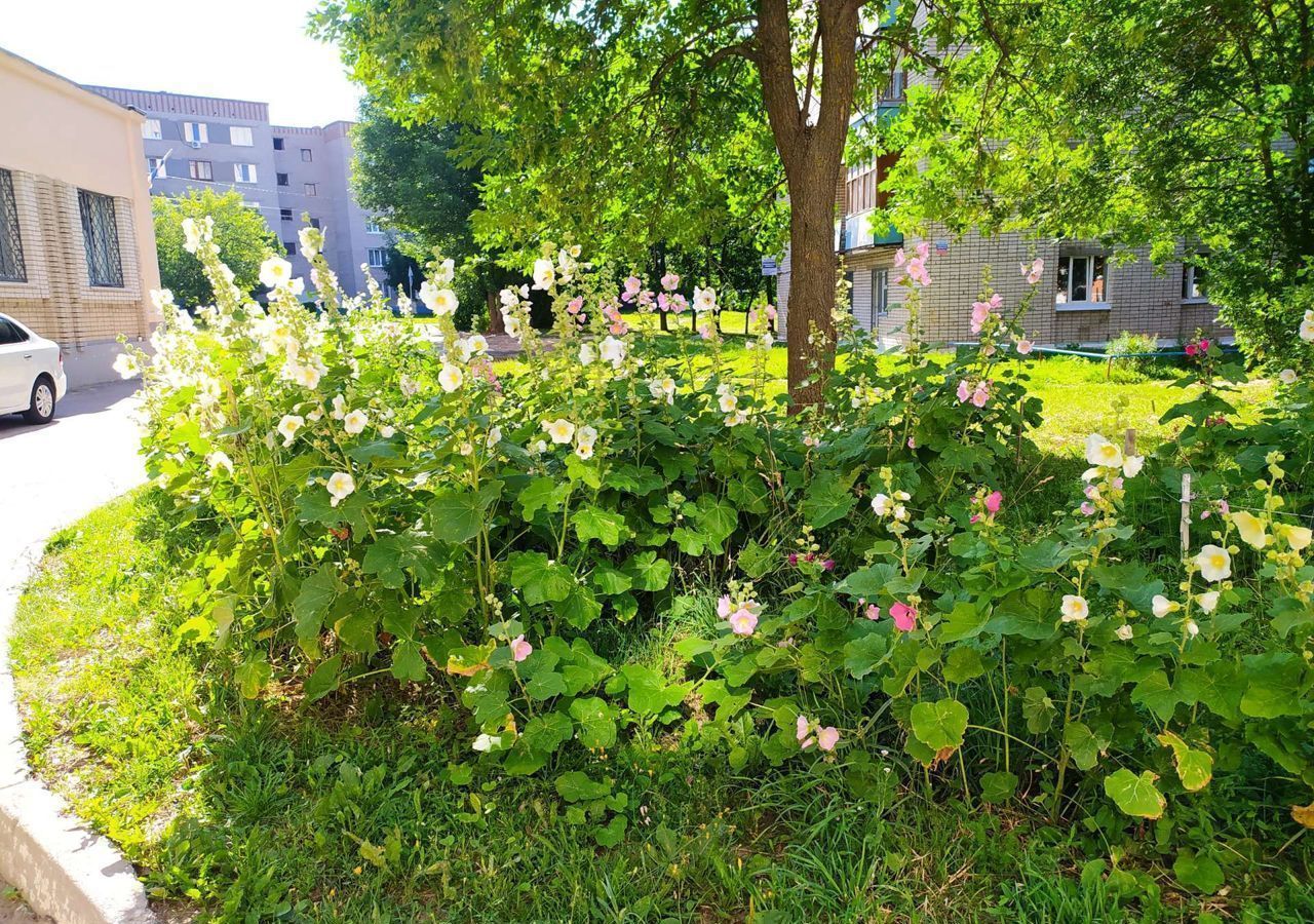 комната г Чебоксары р-н Московский ул Т.Кривова 8 фото 3