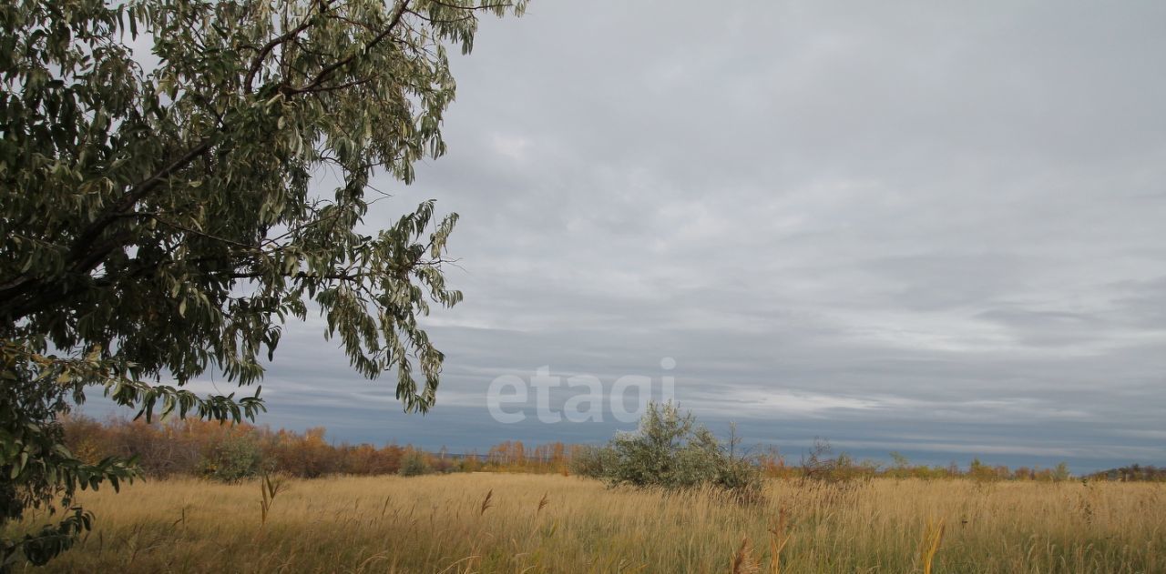 земля г Новоульяновск с Панская Слобода фото 1