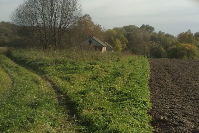 дом д Васильевское ул Дачная фото