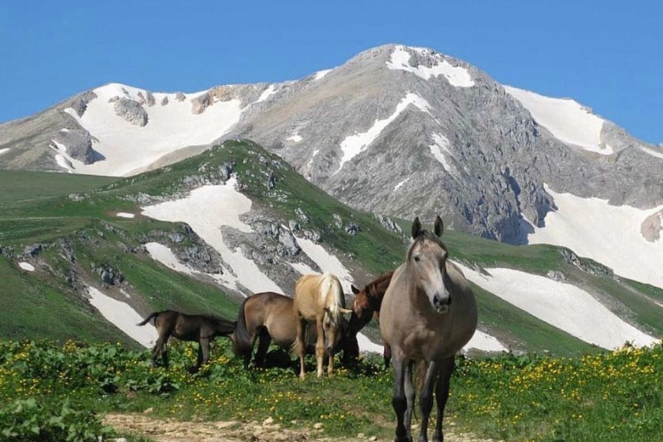 земля р-н Майкопский станица Даховская фото 3