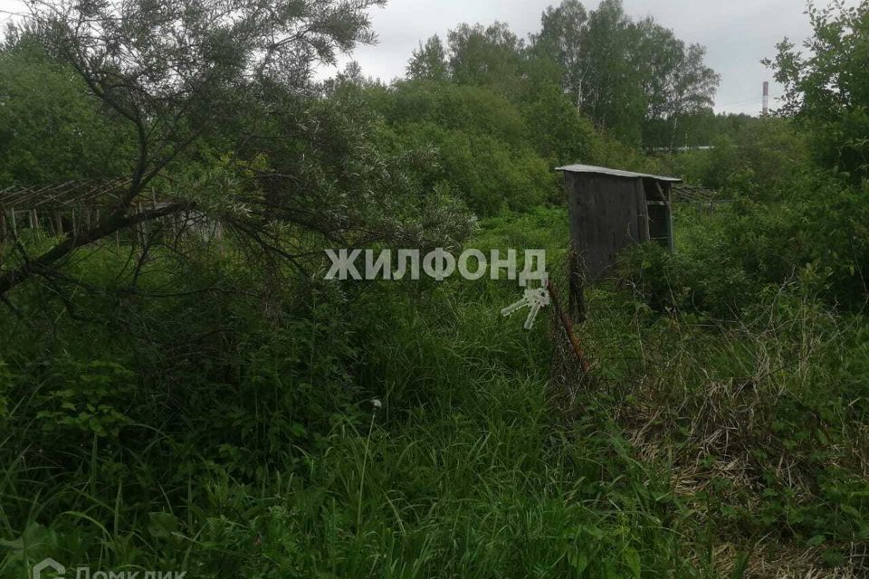 земля г Новосибирск фото 4