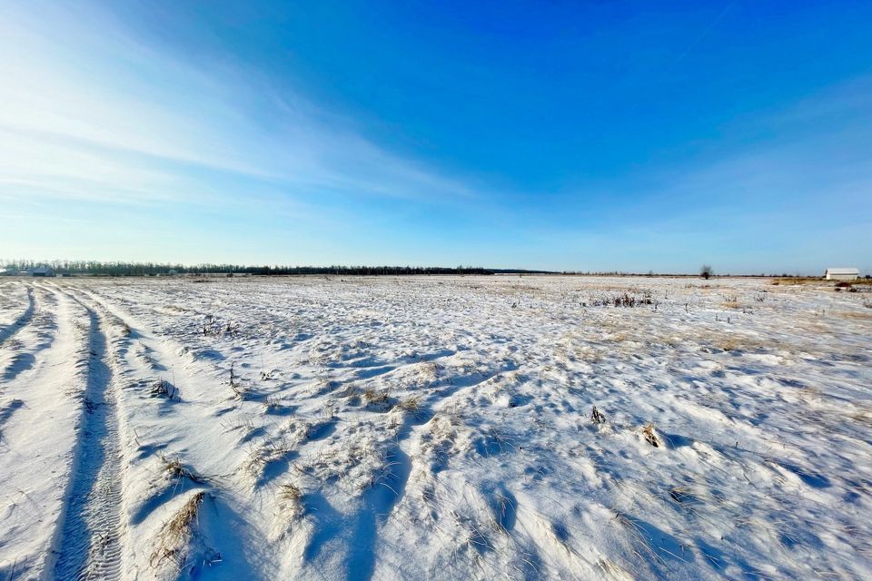 земля р-н Бессоновский с Бессоновка ул Весенняя фото 3