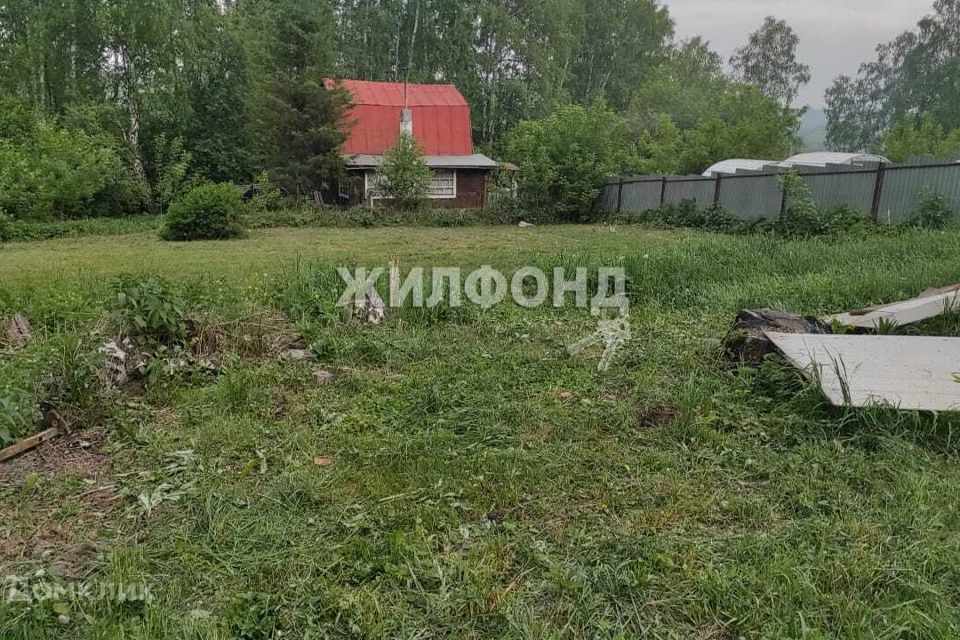 земля р-н Новосибирский фото 2