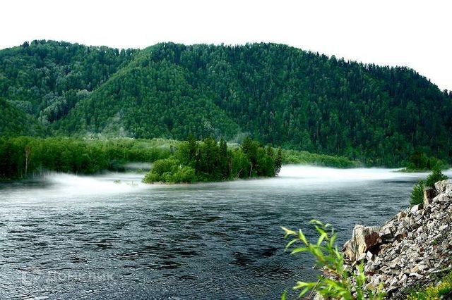 с Верх-Бийск ул Береговая 8 фото