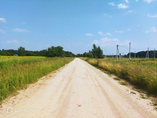 д Белугино ул Александровская Слобода 56 фото