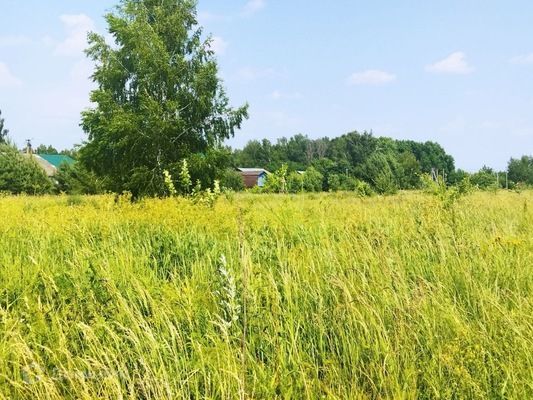 д Белугино ул Александровская Слобода 54 фото