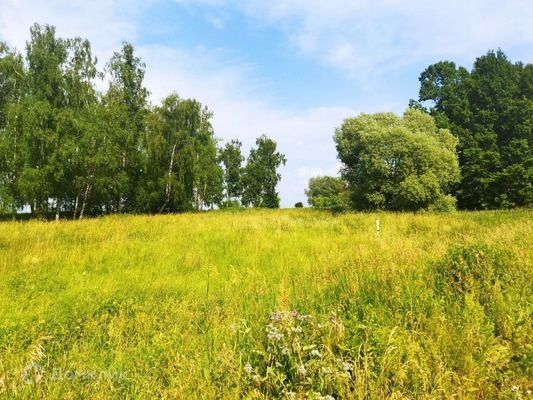 земля р-н Ясногорский д Гайтурово фото 1