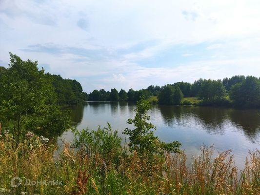 земля р-н Ясногорский д Гайтурово фото 1